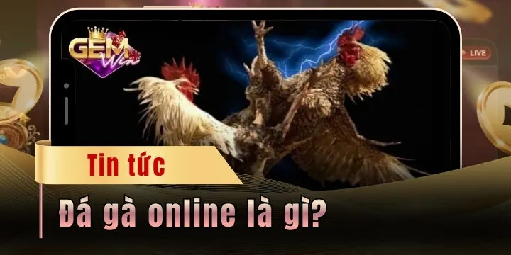 Đá gà online là gì? Bóc trần sự thật ít người nhắc đến