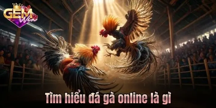Đá gà online là gì? Bóc trần sự thật ít người nhắc đến 2 Đá gà online là gì?