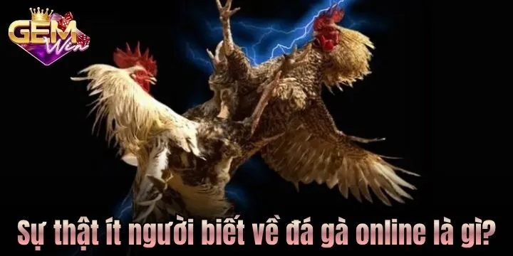 Đá gà online là gì? Bóc trần sự thật ít người nhắc đến 4 Sự thật ít người biết về đá gà online là gì?