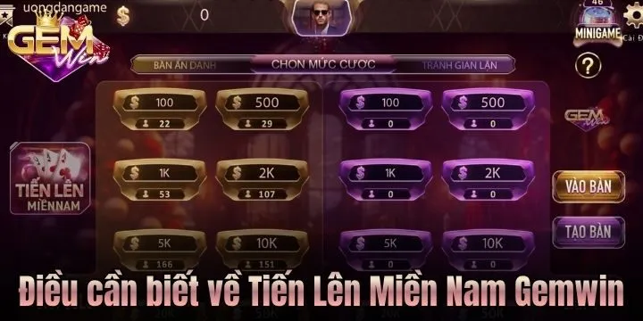Đôi nét về Tiến Lên Miền Nam Gemwin